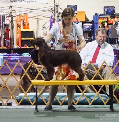 Artemis 2015 national