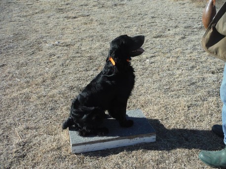 Blackbeard hunting2015