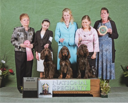 Bunny Best Brood Bitch Nat 2012