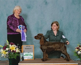 Bunny_WB_ASC10_web_small