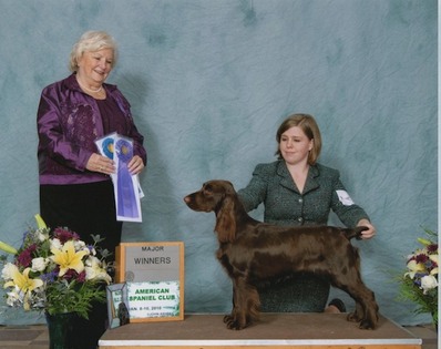 Bunny_WB_ASC10_web_small