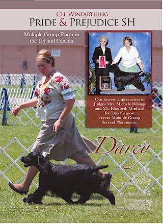 Darcy Ad Close UP
