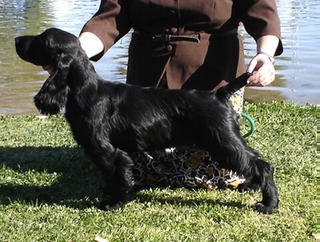 Zeus 4 mos Side 2